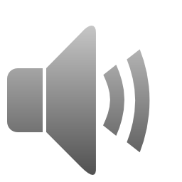 Sound On 2 Icon 256x256 png